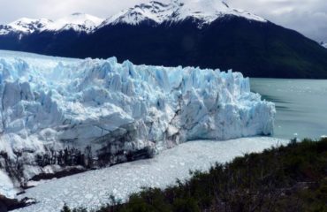 Calafate