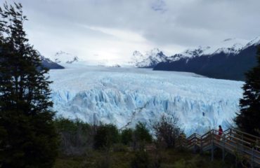 Calafate