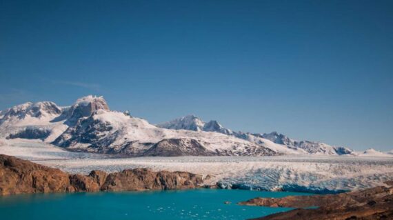 Calafate Perito Moreno