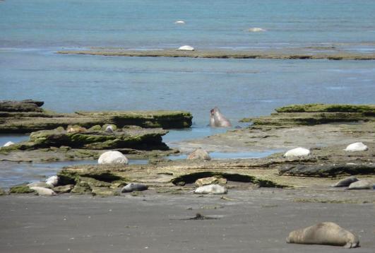 Argentina al Completo