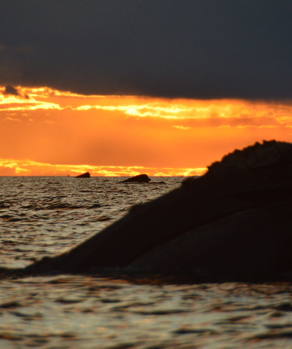 Puerto Madryn Ballenas atardecer