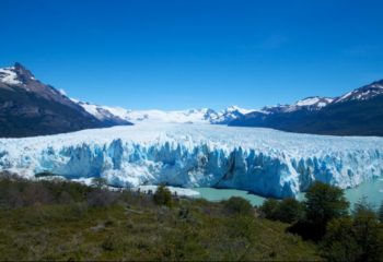 Calafate