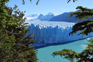  Calafate