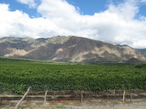 Montañas de Cafayate y sus viñedos. Montañas de Cafayate y sus viñedos.
