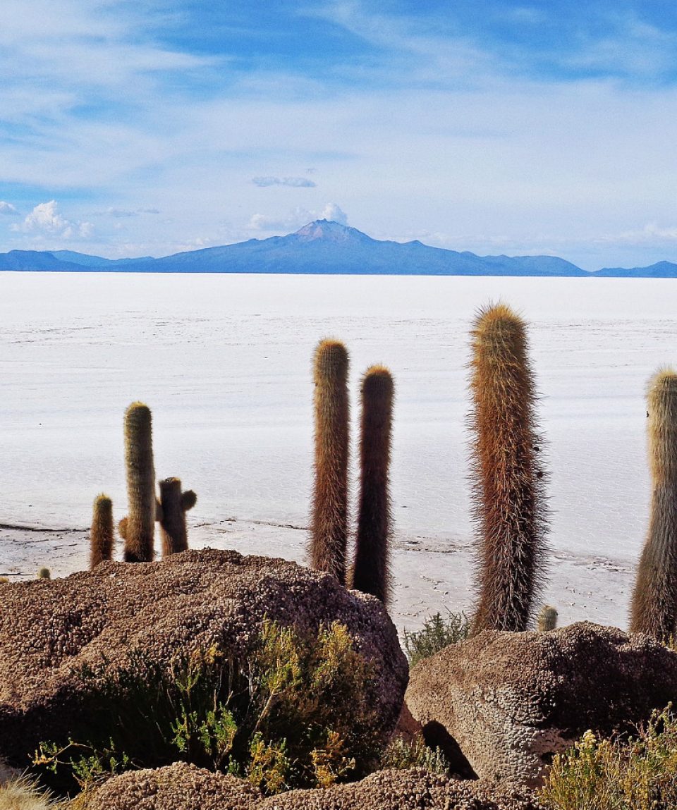Salar de Uyuni Bolivia